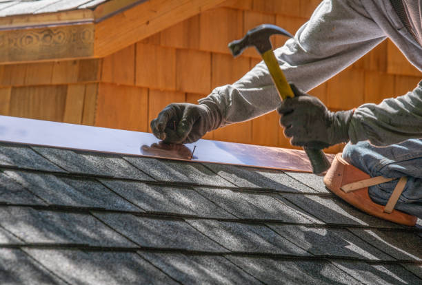 Best Roof Installation  in Minden, NV
