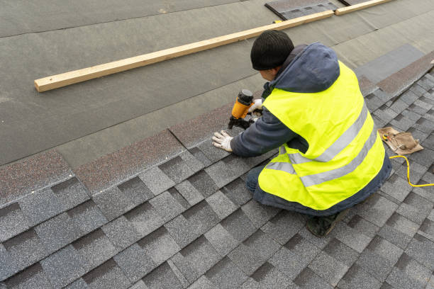 Professional  Roofing repair and installation in Minden, NV