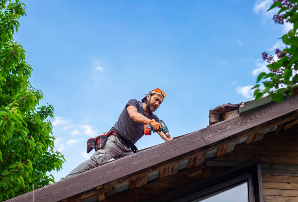 Best Slate Roofing  in Minden, NV